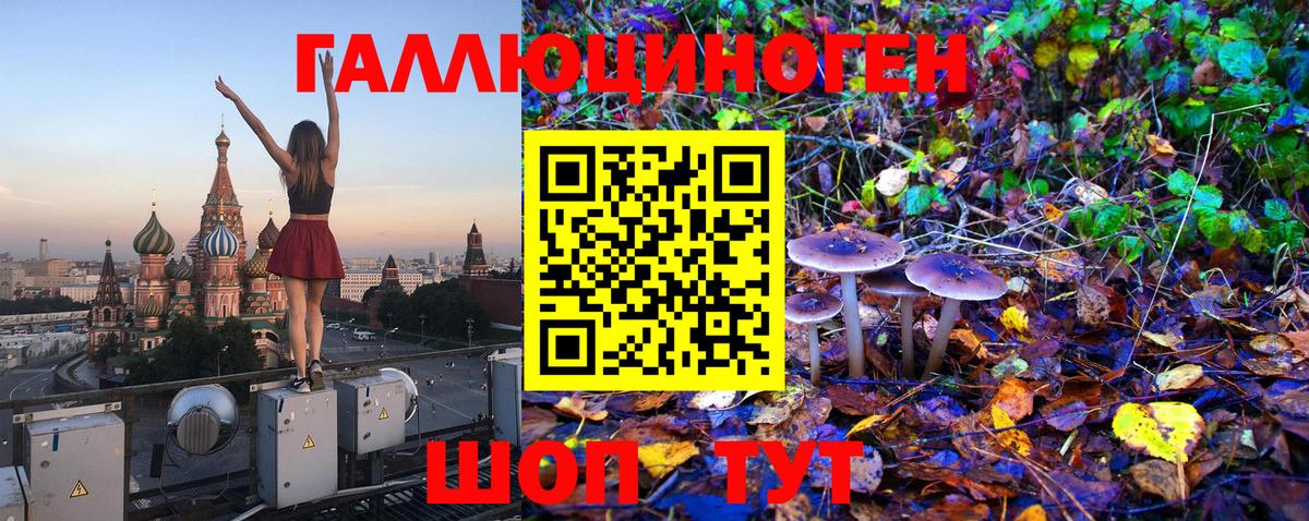 Псилоцибиновые грибы ЛСД Волжск