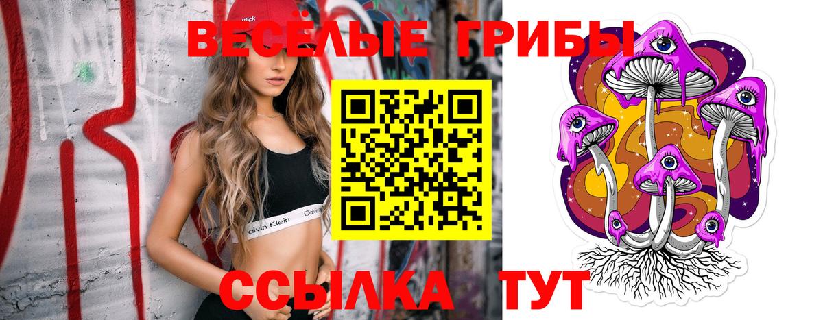 Псилоцибиновые грибы Cubensis  купить наркоту  Волжск  Псилоцибиновые грибы прущие грибы  Вход с VPN 